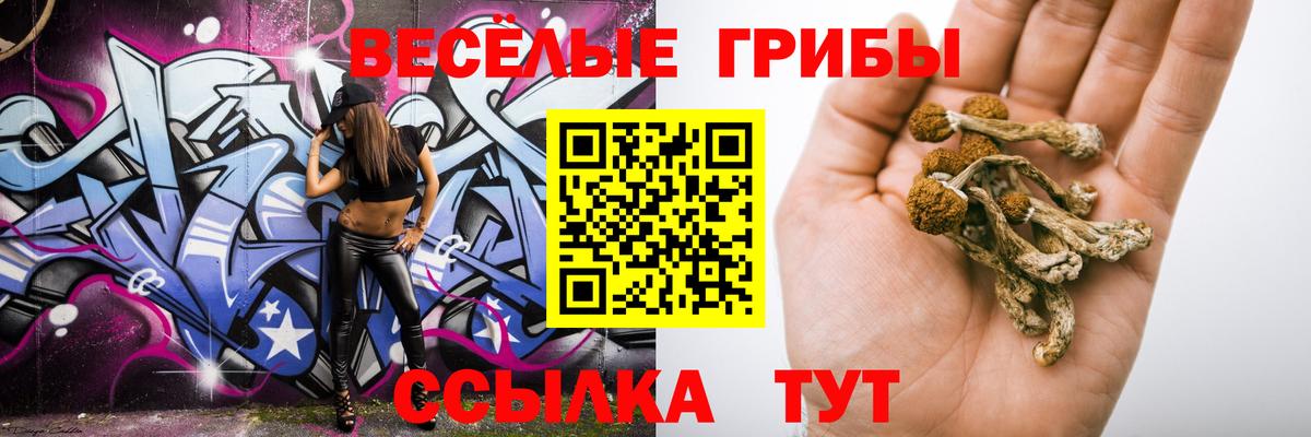 Тында  Галлюциногенные грибы Psilocybe  Вход с VPN  Галлюциногенные грибы мухоморы 